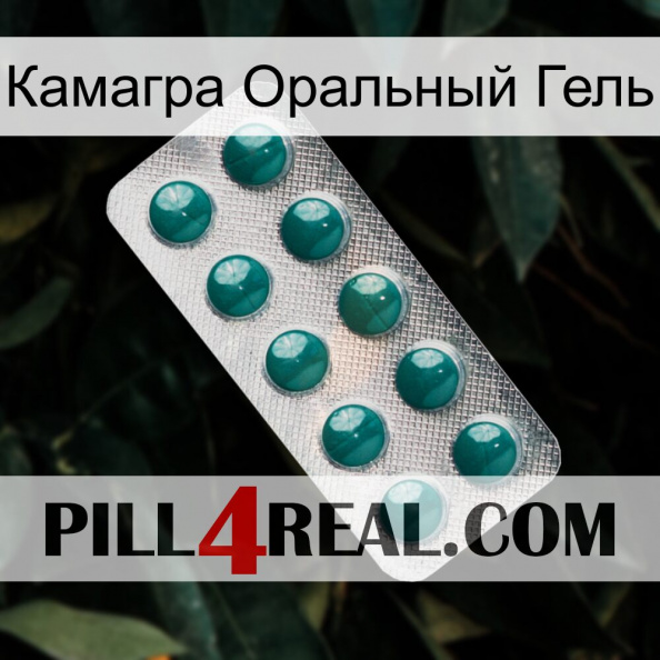 Камагра Оральный Гель dapoxetine1.jpg